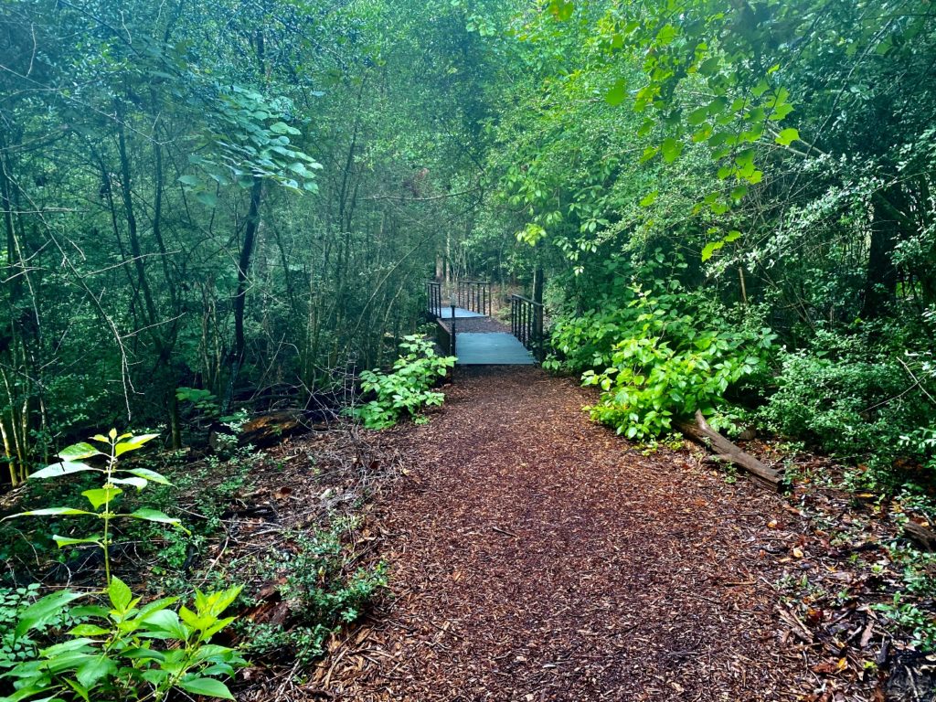 Trail at Houston Arboretum